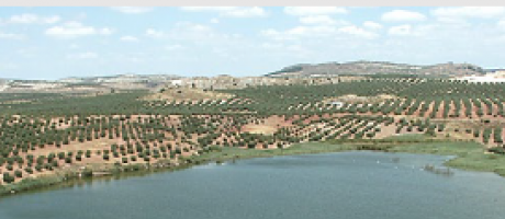 Fotografía ilustrativa del evento