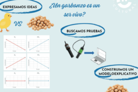 Fotografía ilustrativa del evento