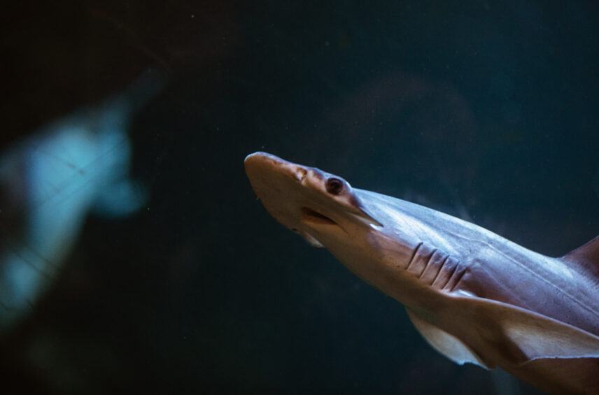 Fotografía ilustrativa del artículo