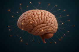 Fotografía ilustrativa del evento