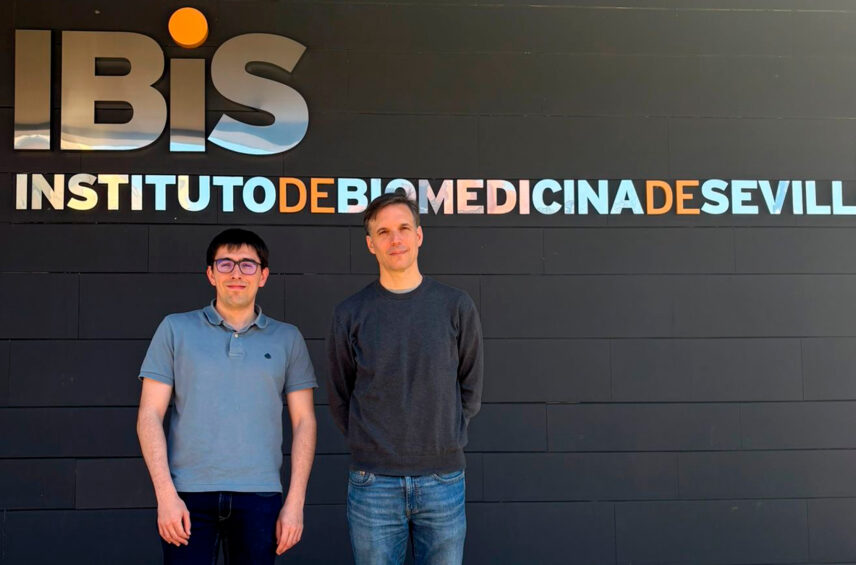 Fotografía ilustrativa del artículo