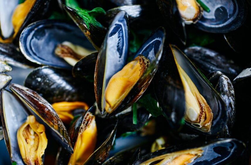 Fotografía ilustrativa del artículo