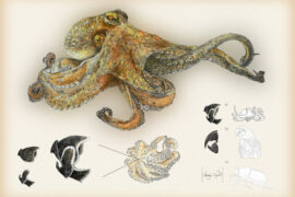 Fotografía ilustrativa del evento