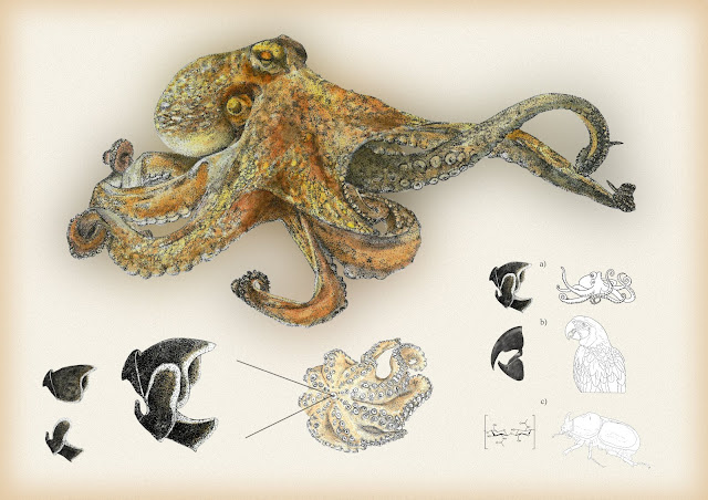 Fotografía ilustrativa del evento