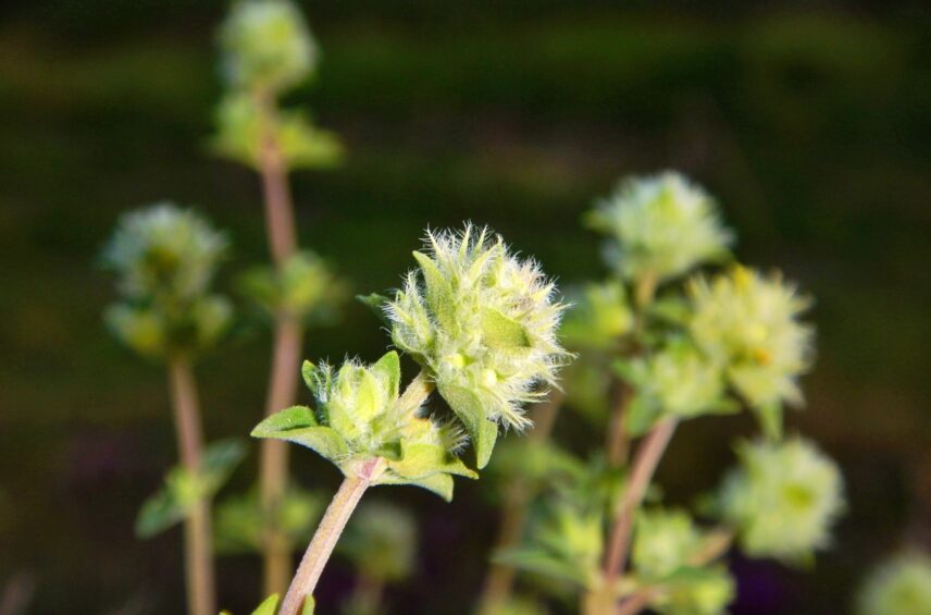 Fotografía ilustrativa del artículo