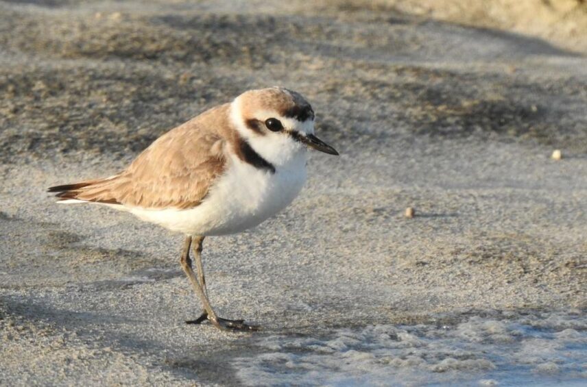 Fotografía ilustrativa del artículo