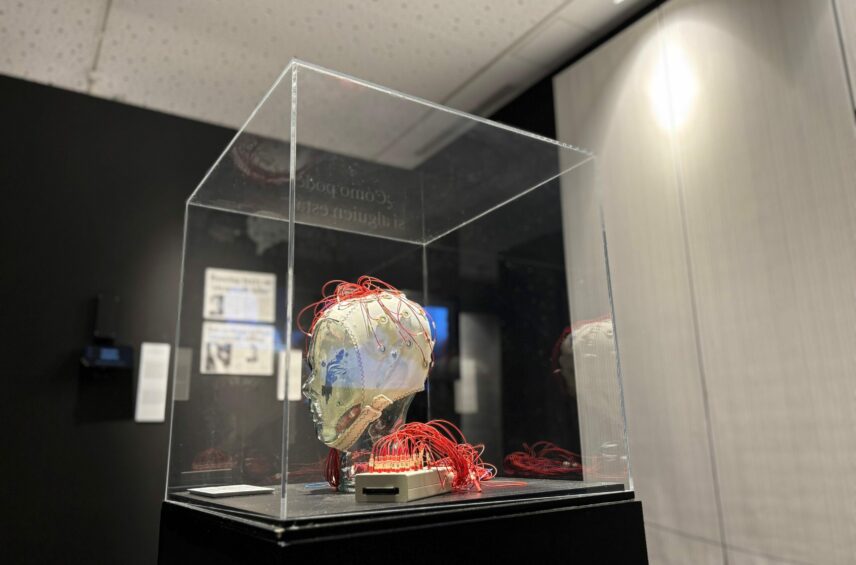 Fotografía ilustrativa del evento