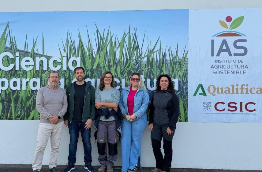 Fotografía ilustrativa del artículo