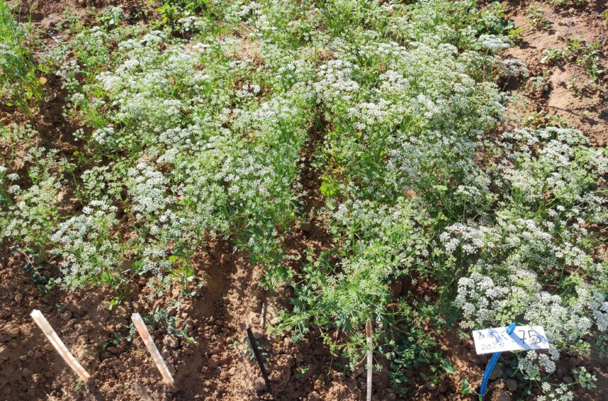 Fotografía ilustrativa del artículo