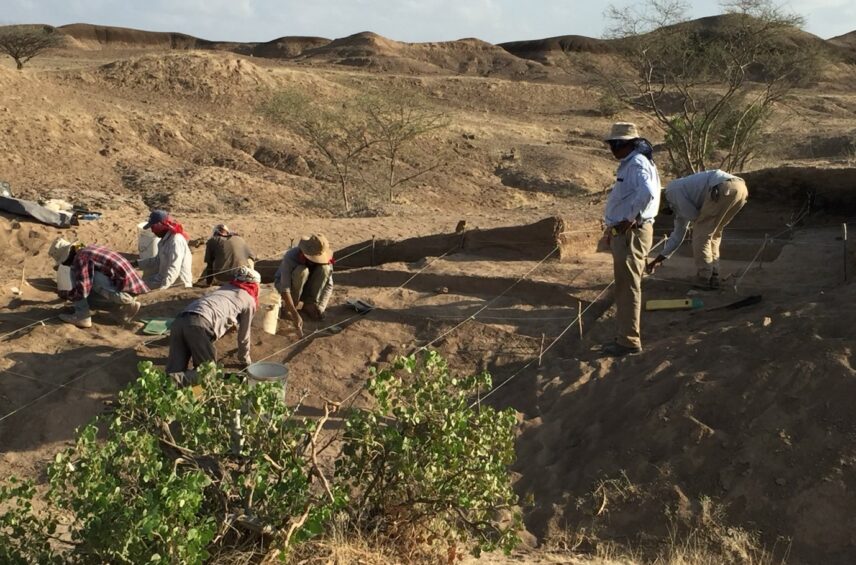 Fotografía ilustrativa del artículo