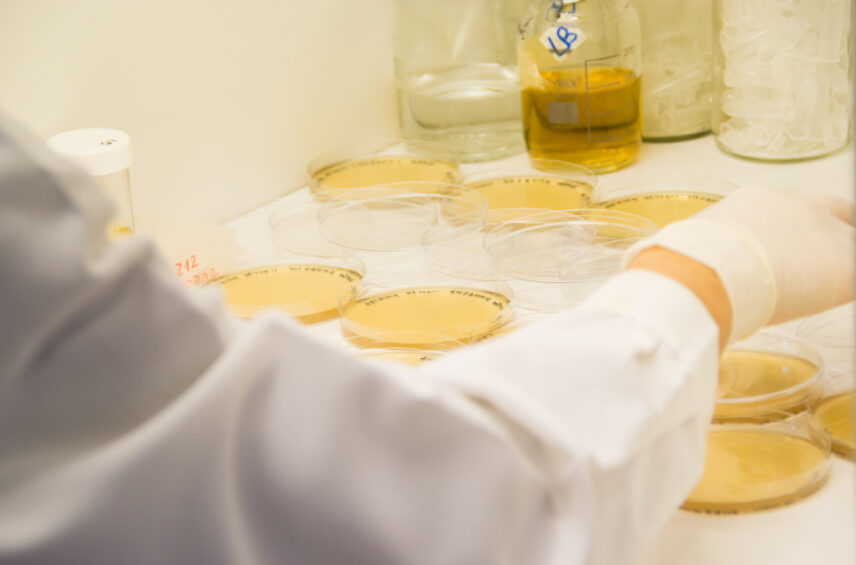 Fotografía ilustrativa del artículo