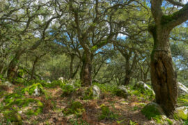 Fotografía ilustrativa del evento