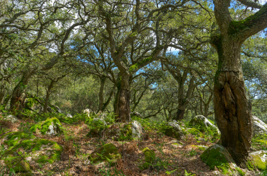 Fotografía ilustrativa del evento