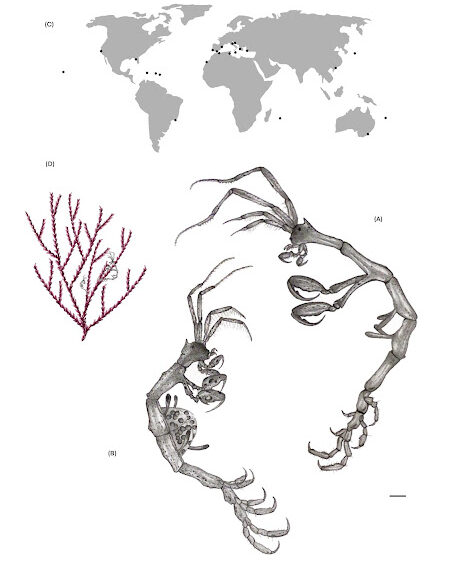 Fotografía ilustrativa del evento