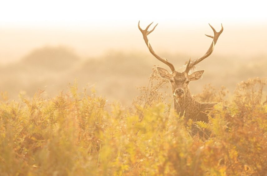 Fotografía ilustrativa del artículo