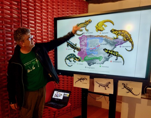 https://idescubre.fundaciondescubre.es/files/2026/04/IMG_20260425_194125270_HDR93_1777200014.jpg