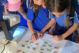 Fotografía ilustrativa del evento