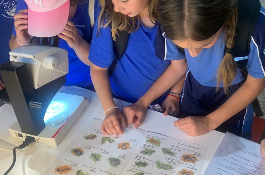 Fotografía ilustrativa del evento