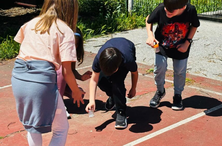 Fotografía ilustrativa del artículo