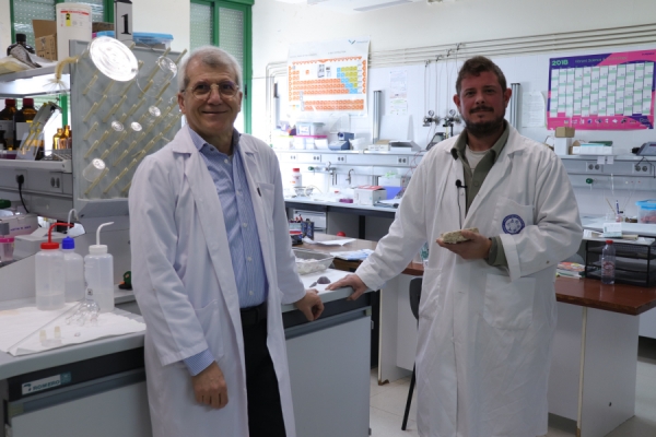 Fotografía ilustrativa del artículo