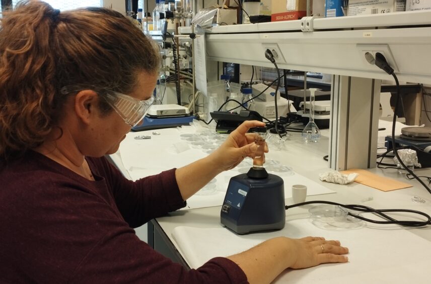 Fotografía ilustrativa del artículo