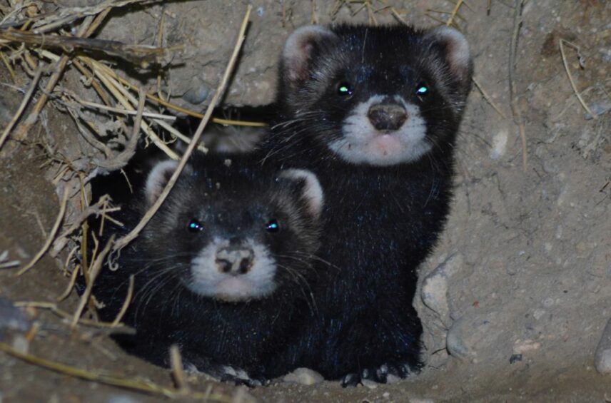 Fotografía ilustrativa del artículo