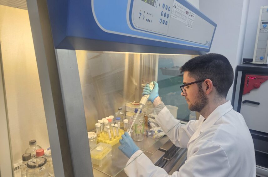 Fotografía ilustrativa del artículo