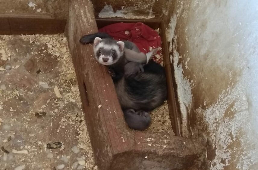 Fotografía ilustrativa del artículo