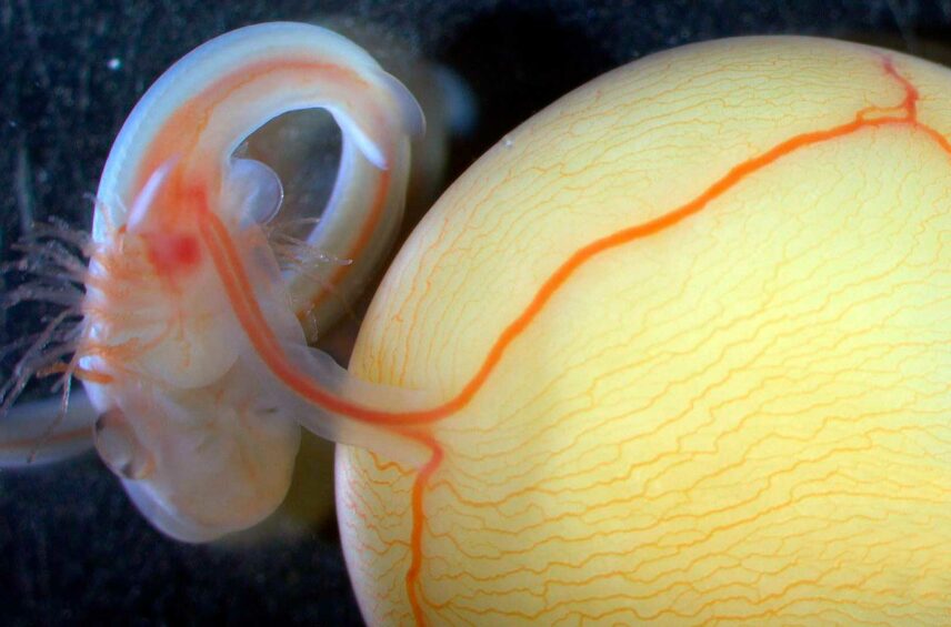 Fotografía ilustrativa del artículo