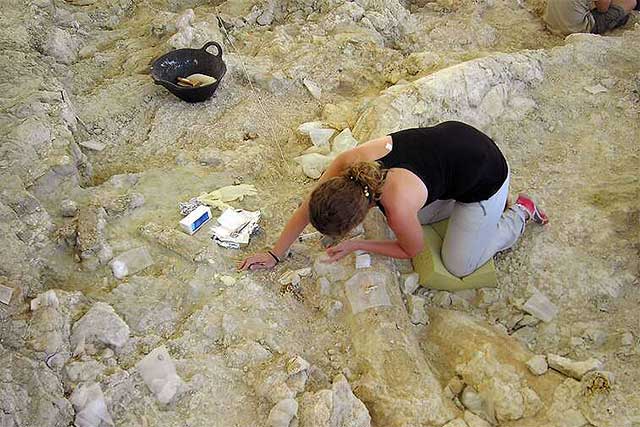 Fotografía ilustrativa del artículo