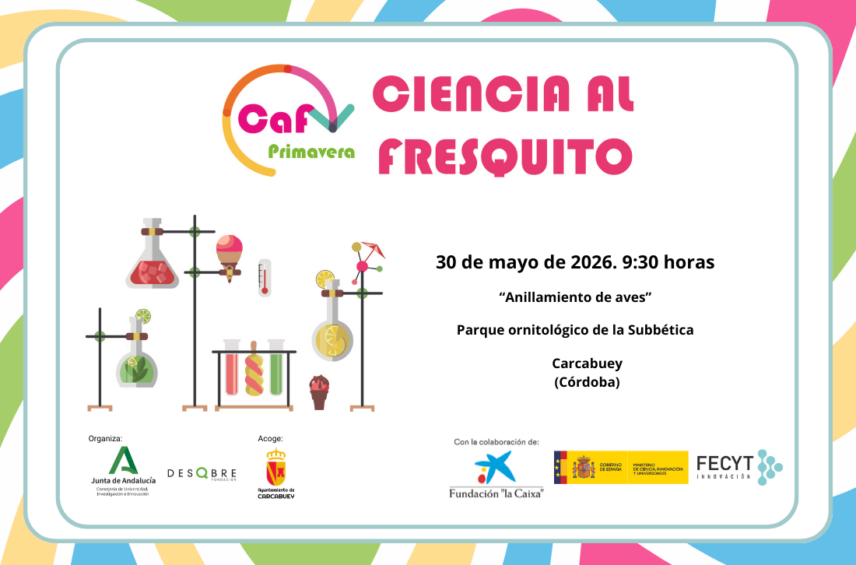 Fotografía ilustrativa del evento