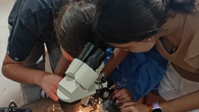 Fotografía ilustrativa del artículo