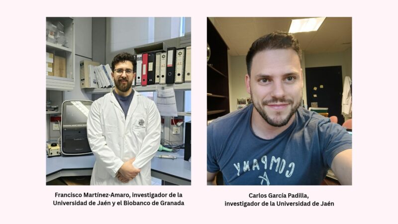 Investigadores principales del estudio.