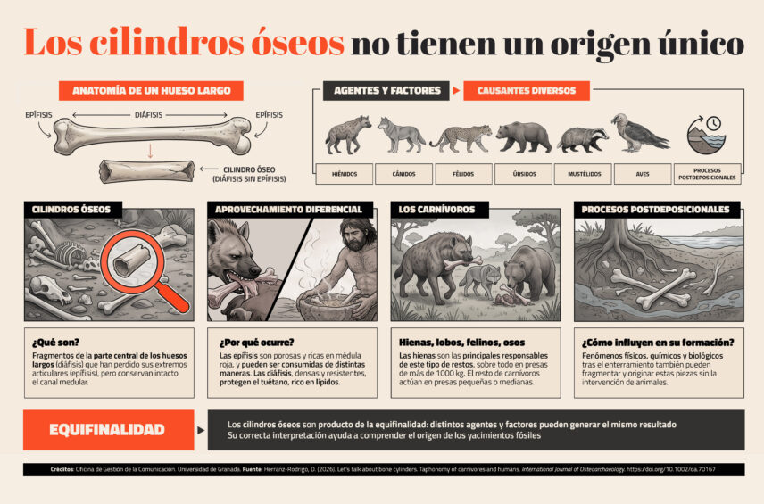 Fotografía ilustrativa del artículo