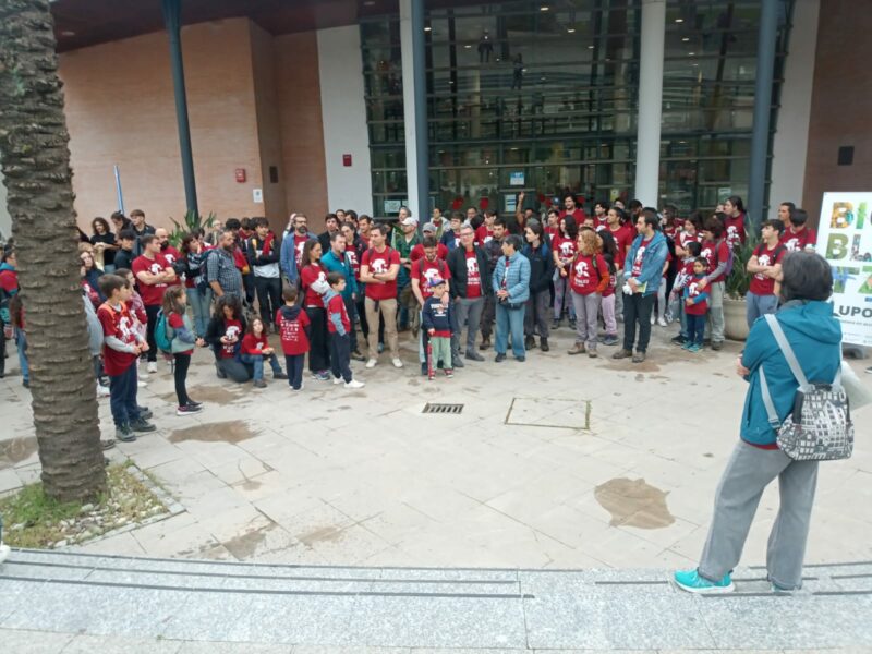 El proyecto se ha presentado esta mañana durante VI BioBlitz en la Universidad Pablo de Olavide.